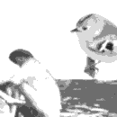 vivre_vignette